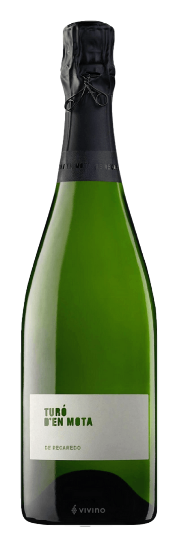 Recaredo - Cava Gran Reserva Brut Nature Turo d'en Mota
